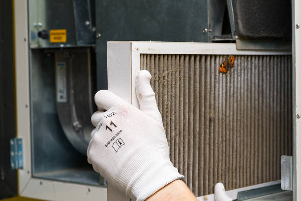 Best Air Filter Replacement Services in Roan Mountain, TN